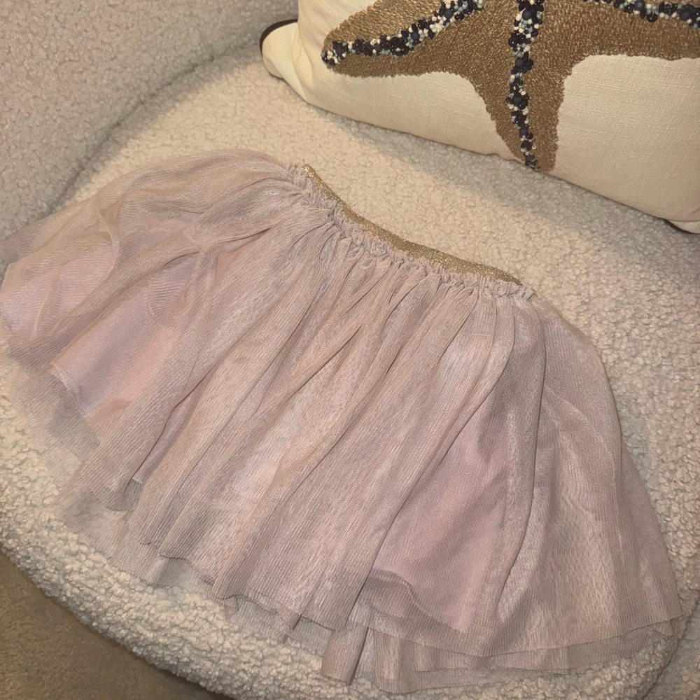Zara Light Pink Tulle Skirt with Gold Waistband